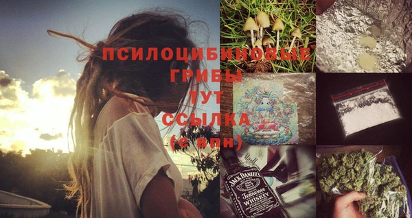 ПСИЛОЦИБИНОВЫЕ ГРИБЫ Армянск